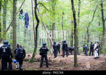 13. September 2018, Nordrhein-Westfalen, Kerpen: 13. September 2018, Deutschland, Kerpen: Polizisten stehen vor einer Barrikade, in dem ein Aktivist sich gebunden hat. Mit einer massiven Polizeipräsenz, die Behörden im Braunkohlerevier Hambach Wald begonnen haben barrikaden die Umweltaktivisten' zu löschen. Foto: Marcel Kusch/dpa Stockfoto