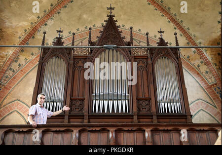 10. September 2018, Mecklenburg-Vorpommern, Malchow: 10. September 2018, Deutschland, Malchow: Friedrich Drese, Direktor der Mecklenburgischen Orgel Museum, weist auf die Friese - Orgel in der Klosterkirche. Das Instrument von 1890 schlecht aufgrund der extrem lang anhaltenden Trockenheit gelitten. Nach Drese, viele Organe im Land haben durch die außerordentlich trockene Luft der letzten Monate beschädigt worden: Windkraft - tragende Teile zerreißen, statische Teile lösen. Foto: Bernd Wüstneck/dpa Stockfoto