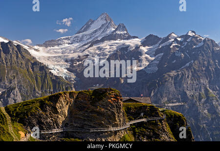 Erste Cliff Walk von Tissot mit Aussichtsplattform im Wandergebiet Ersten, Aussicht an der Spitze Schreckhorn, Grindelwald, Berner Oberland, Schweiz Stockfoto