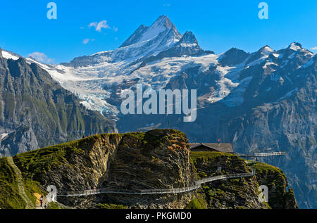 Erste Cliff Walk von Tissot mit Aussichtsplattform im Wandergebiet Ersten, Aussicht an der Spitze Schreckhorn, Grindelwald, Berner Oberland, Schweiz Stockfoto