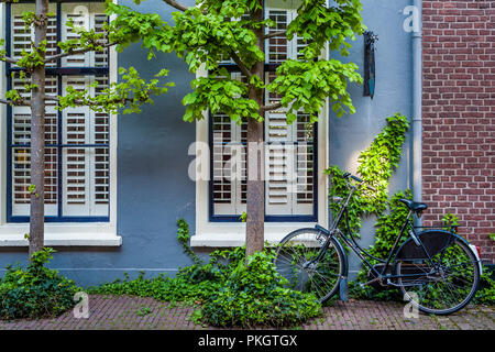 Altes Fahrrad gegen die Wand eines alten blau Niederländisch Haus mit grünen Bäumen und Ivy schiefen Stockfoto