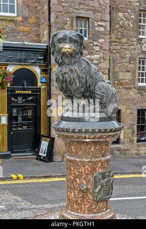 EDINBURGH SCHOTTLAND der Statue von dem Hund GREYFRIARS BOBBY IN DER NÄHE DER KIRCHE UND SEINE GUT GETRAGEN goldenen Nase Stockfoto