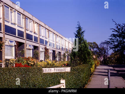 Cadley Terrasse, Forest Hill, London. Original Foto von November 1971. Stockfoto