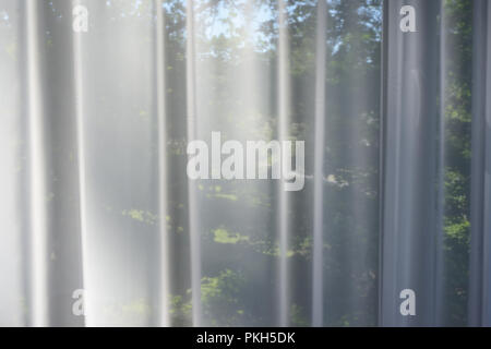 Am Morgen Garten in das Fenster hinter dem Transparente Vorhänge Stockfoto