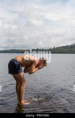 Buchen Verendrye Biofaunique Stockfoto