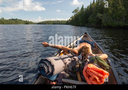 Buchen Verendrye Biofaunique Stockfoto