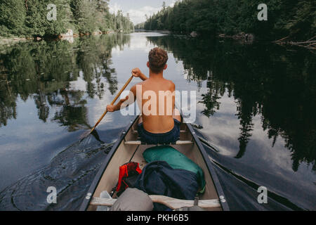 Buchen Verendrye Biofaunique Stockfoto