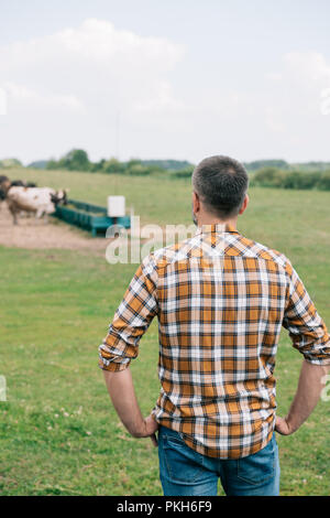 Rückansicht der Landwirt auf Taille und Rinder in Feld Stockfoto