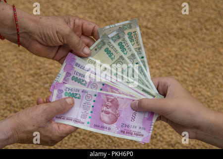 Hand geben Indische 500 und 2000 Rupien Banknoten über Weizen Hintergrund. Konzept für das Ergebnis oder verbringen Sie in der Landwirtschaft. Stockfoto