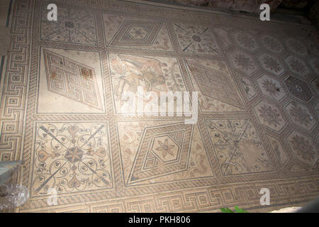 Antike römische Mosaik in der Stadt Pula, Kroatien. Bodenmosaik der Bestrafung von Dirce Stockfoto
