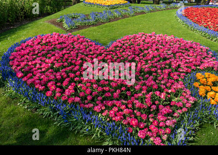 Lisse, Niederlande, Europa, hohen Betrachtungswinkel von bunten Tulpen im Park Stockfoto