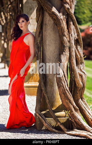 Eine schöne Frau in einem langen Kleid und posiert neben einem interessanten Seide Holz Baum auf das Biltmore Estate in North Carolina Stockfoto