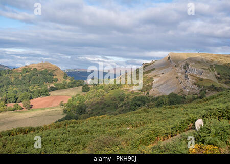 Die Kalkfelsen der Eglwyseg Escarpment über dem Tal von Llangollen, Wales, Großbritannien Stockfoto