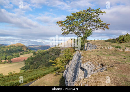 Die Kalkfelsen der Eglwyseg Escarpment über dem Tal von Llangollen, Wales, Großbritannien Stockfoto