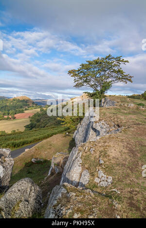 Die Kalkfelsen der Eglwyseg Escarpment über dem Tal von Llangollen, Wales, Großbritannien Stockfoto