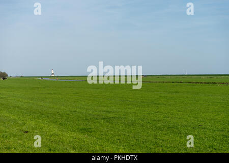 Niederlande, Feuchtgebiete, Maarken, Europa, einer Person, die auf einem grünen Feld Stockfoto