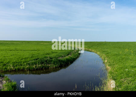 Niederlande, Feuchtgebiete, Maarken, Europa, eine große Anzahl von Wasser Stockfoto