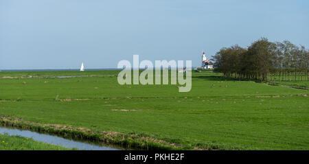 Niederlande, Feuchtgebiete, Maarken, Europa, Rammstein, stehend auf einem grünen Feld Stockfoto