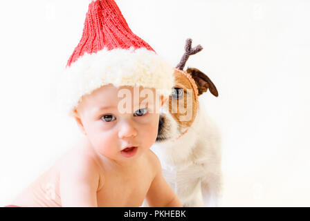 Baby Boy, als Santa Claus und Hund als Rentier in die Kamera blicken Stockfoto