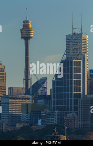 Vom Sydney CBD Skyline in Australien Detail, einschließlich Sydney Tower. Stockfoto