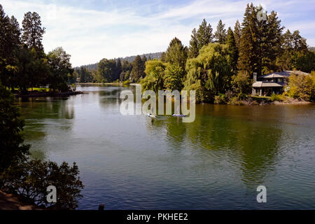 Zwei paddleboarders genießen Sie einen Sommer am Nachmittag auf den Deschutes River in Downtown Bend, Oregon Stockfoto