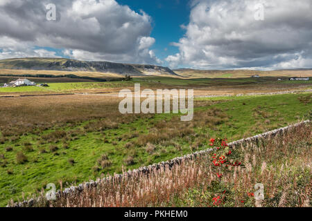 North Pennines AONB Landschaft, Cronkely Narbe und Widdybank, die aus den hängenden Shaw in starke Herbst Sonnenschein Stockfoto