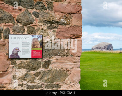 Nahaufnahme der Informationstafel, Taubenschlag aus dem 14. Jahrhundert und Bass Rock in Tantallon Castle, East Lothian, Schottland, Großbritannien Stockfoto