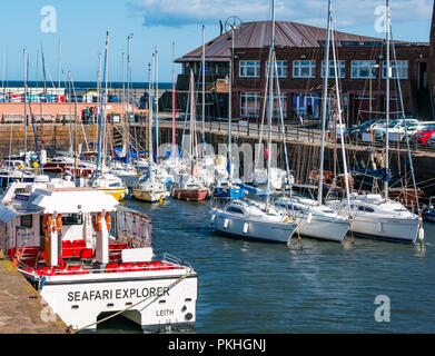 Segelboote und Seafari Explorer Katamaran, North Berwick Hafen an einem sonnigen Tag, East Lothian, Schottland, Großbritannien Stockfoto