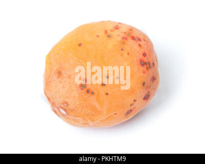 Faule apricot mit Schimmel auf weißem Hintergrund Stockfoto