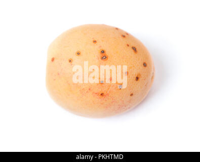 Faule apricot mit Schimmel auf weißem Hintergrund Stockfoto