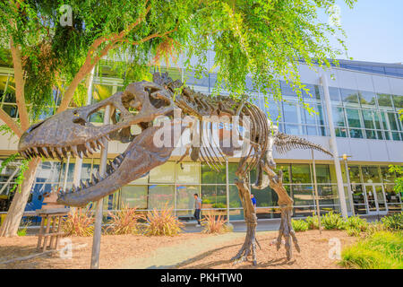Mountain View, Kalifornien, USA - 13. August 2018: Weitwinkelaufnahme der Tyrannosaurus Rex Skelett im Googleplex Hauptsitz Hauptsitz im Silicon Valley, CA. Stockfoto