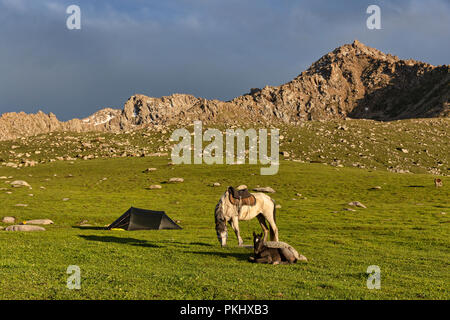 Pferd und Ihr Fohlen Beweidung auf goldenen Stunde in der Kirgisischen hohe Weide vor der Hütte, Keskenkyia Loop trek, Jyrgalan, Kirgisistan Stockfoto