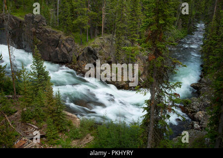 Clarks Fork des Yellowstone an Clarks Fork Picknickplatz aus dem Gerinne Trail, Gallatin National Forest, Beartooth Scenic Byway, Montana Stockfoto