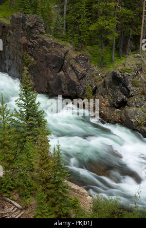 Clarks Fork des Yellowstone an Clarks Fork Picknickplatz aus dem Gerinne Trail, Gallatin National Forest, Beartooth Scenic Byway, Montana Stockfoto