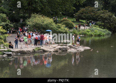Tour Gruppe den Besuch der Teich im Central Park, New York City, USA Stockfoto