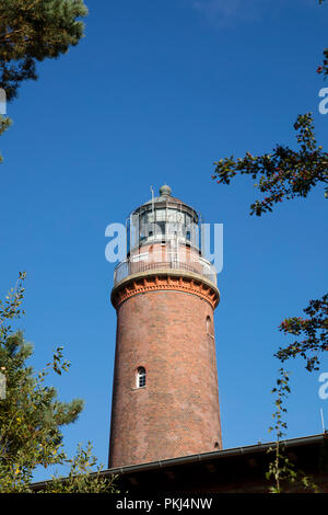 Leuchtturm auf dem Darß, Fischland-Darß-Zingst, Mecklenburg-Vorpommern, Deutschland, Europa, Stockfoto