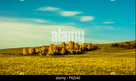 Hebei bashang Grünland Landschaft Stockfoto