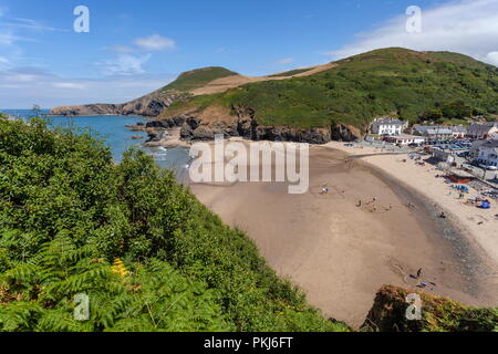 Blick nach Norden auf Llangrannog Strand von den Klippen, an einem warmen Sommertag. Ceredigion Wales Stockfoto