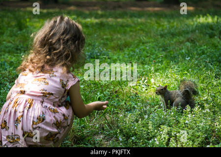 Junge weibliche Kind pet ein kuriositäten Eichhörnchen im Unterholz und bietet eine Mutter Stockfoto
