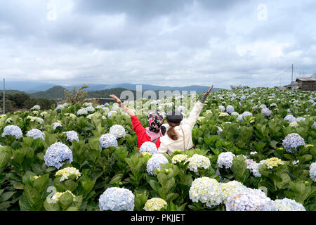 Das junge Mädchen ist glücklich in die Hortensie Blumen Garten blühen Garten in der Stadt Da Lat, Vietnam. Stockfoto