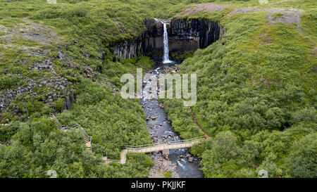 Svartifoss Wasserfall, Skaftafell, Vatnajökull National Park, Island Stockfoto