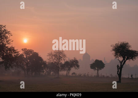 Prächtige Taj Mahal die Wunder der Welt und der Stolz von Indien im Winter Sonnenaufgang und Haze und mit Bäumen im Vordergrund Agra Indien Stockfoto