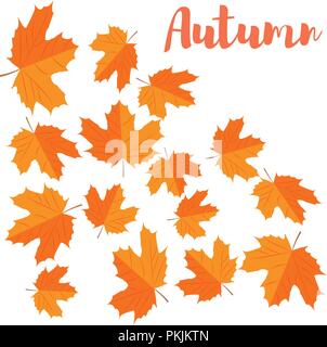 Vector Illustration. Herbst Hintergrund. Der gelbe Ahornblätter Stock Vektor