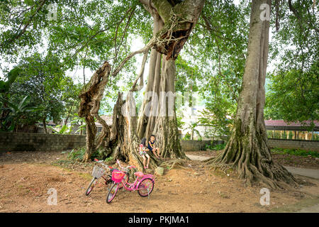 Die Kinder im Dorf mit bunten Fahrräder unter Banyan Bäume in Bac Sohn Bezirk, Lang Son Provinz, Vietnam Stockfoto