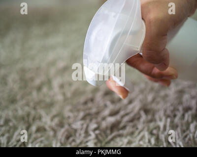 Close-up Hand Reinigung verschmutzten Teppich von Reinigungsmittel Reinigungsspray. Stockfoto