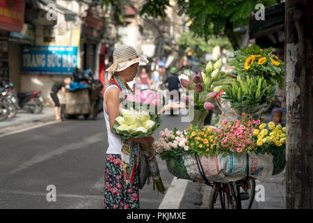 Die straßenverkäufer verkauft Blumen auf dem Fahrrad in den Morgen in Hanoi Old Quarter, Vietnam. Stockfoto