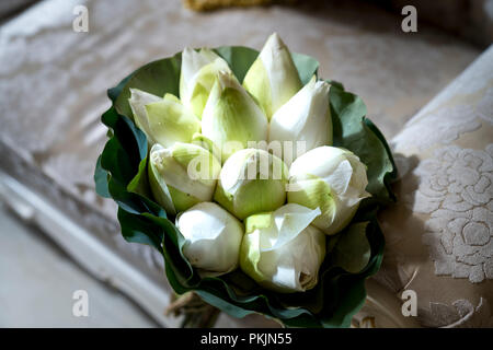 frische Lotus Knospe Strauß Stockfoto