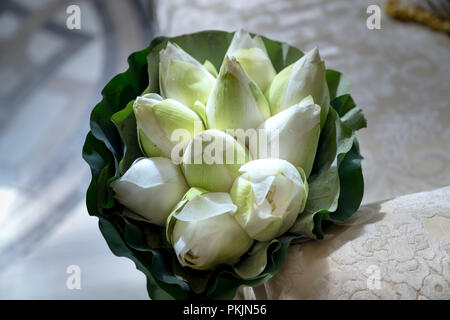 frische Lotus Knospe Strauß Stockfoto