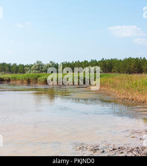 Sommer Pryschukove dunkel braun-rote Jod See mit einer therapeutischen Wirkung durch den hohen Gehalt an Jod (Kherson, Ukraine). Stockfoto