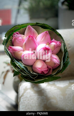 frische Lotus Knospe Strauß Stockfoto